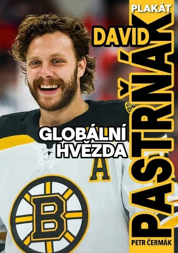 HORKÁ NOVINKA 2026 – DAVID PASTRŇÁK ,,C '' – BOSTON BRUINS – POVLEČENÍ NHL 140x200/70x90 cm